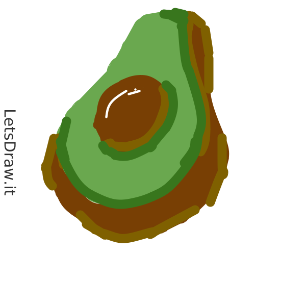 How To Draw Avacado Fms3f8186png Letsdrawit