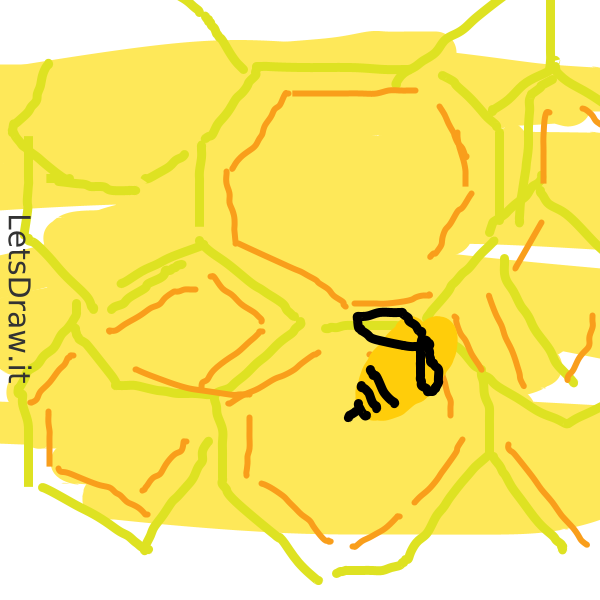 How to draw bee hive / fsgionxc4.png / LetsDrawIt