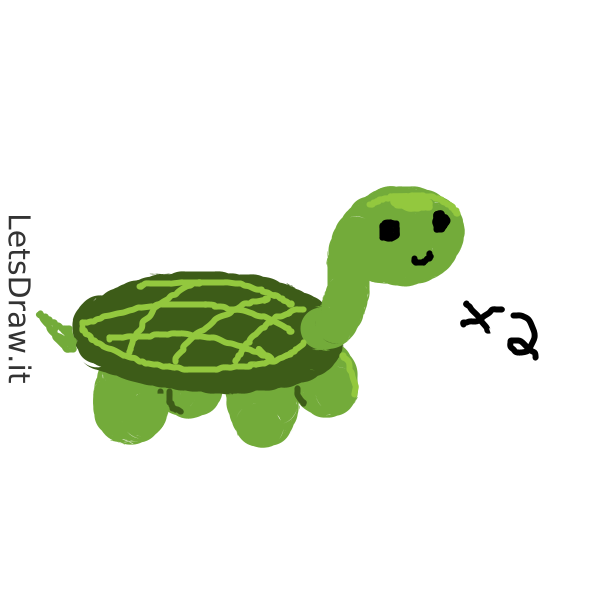 How To Draw Turtles   G1jyq1ypw.png   Letsdrawit