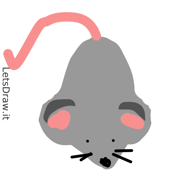 How to draw mouse / g61kke57g.png / LetsDrawIt