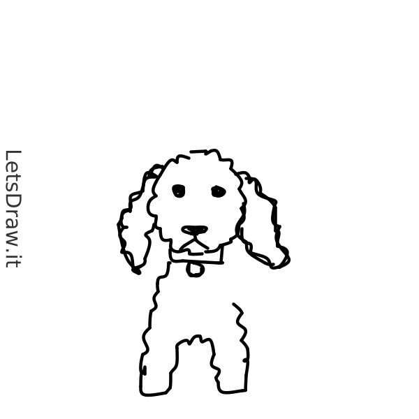 How to draw poodle / g6gb86j9o.png / LetsDrawIt