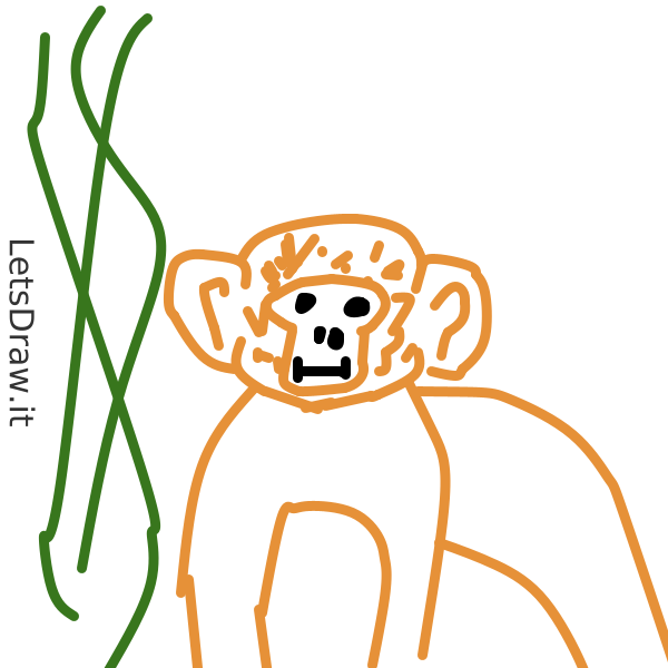 How to draw monkey / g7whem41w.png / LetsDrawIt