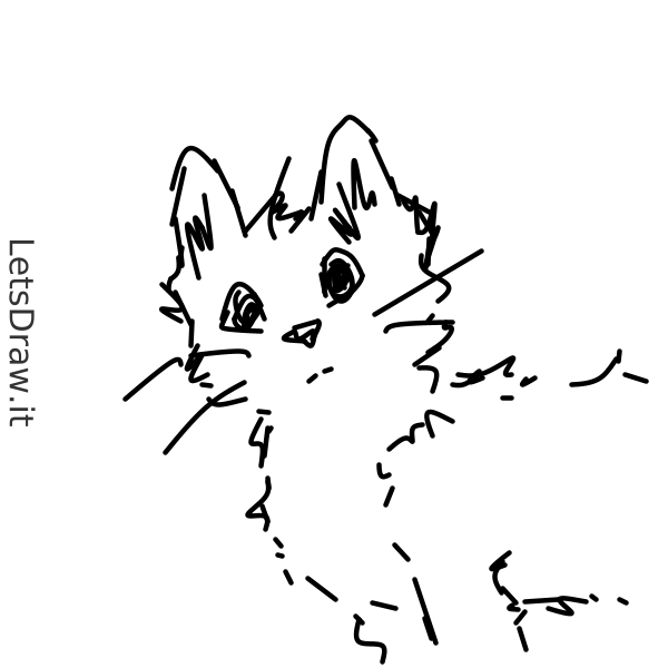How To Draw Cats Gf9ugd5ewpng Letsdrawit 