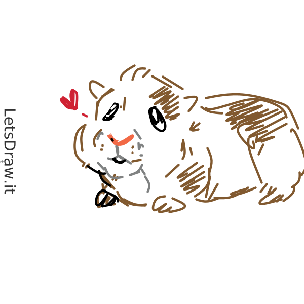 How to draw guinea-pig / gmzsdasp7.png / LetsDrawIt