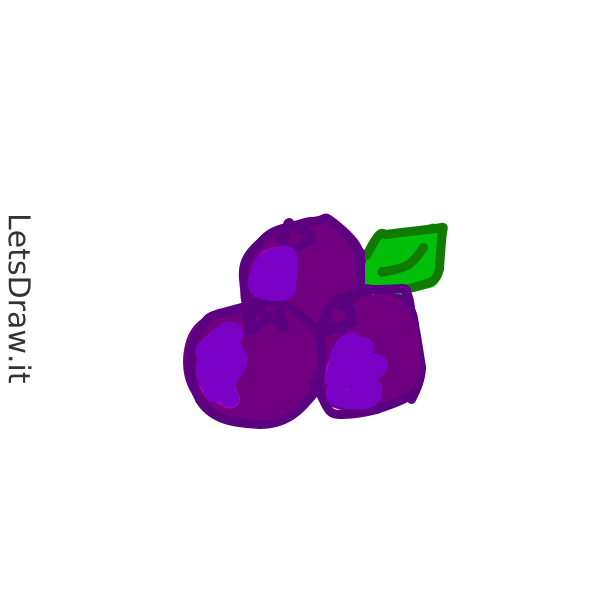 How to draw berries / gqpxpjtd8.png / LetsDrawIt