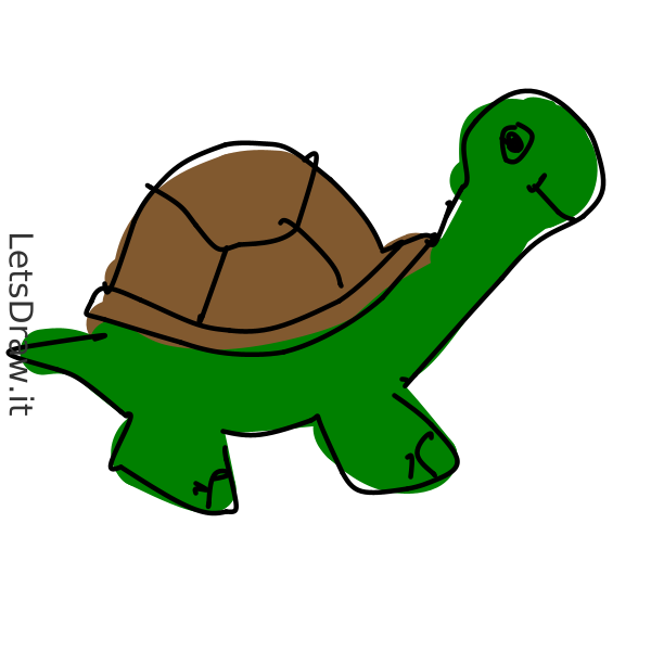 How to draw turtle / gttgbbt7u.png / LetsDrawIt