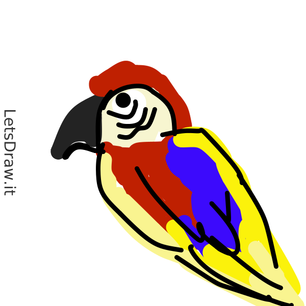 Parrot Draw Computer How to draw parrot / gwi7ks74j.png / LetsDrawIt