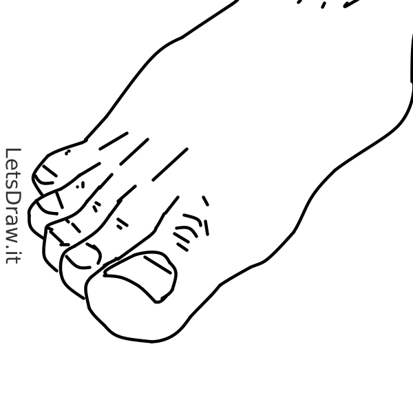 How to draw toenail / LetsDrawIt