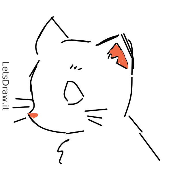 How To Draw Cat H5jfrdc6bpng Letsdrawit 
