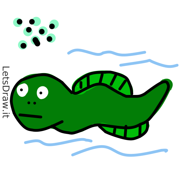 How to draw tadpole / hbt4miygu.png / LetsDrawIt