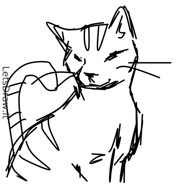 How to draw kitten / hcfyfrqcs.png / LetsDrawIt