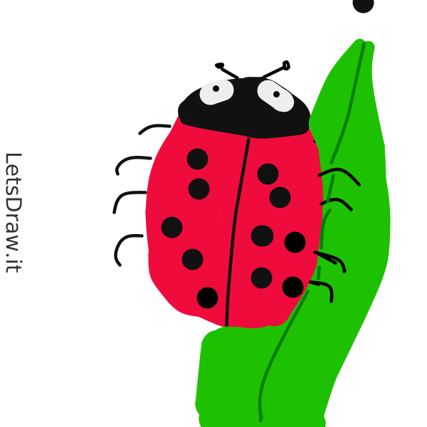 How to draw bug / hfweehtdt png / LetsDrawIt
