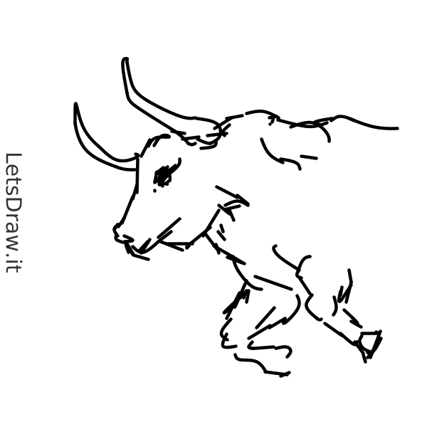 How to draw bull / LetsDrawIt