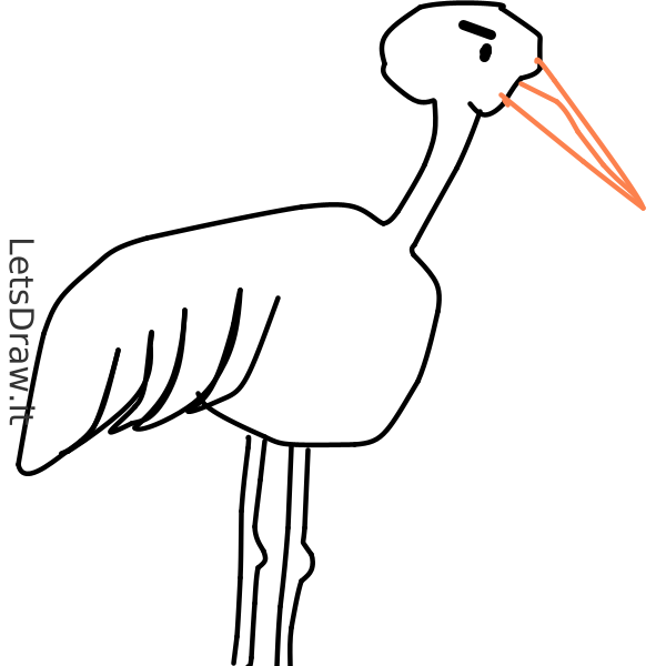 How To Draw Stork   Hip6kfrdd.png   Letsdrawit