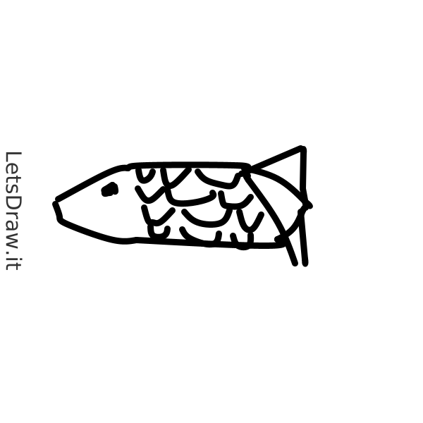 How to draw fish / hq8xcybgs.png / LetsDrawIt