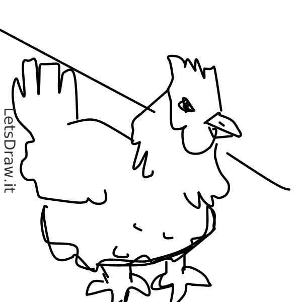 How To Draw Hen   Hqdjbndms.png   Letsdrawit