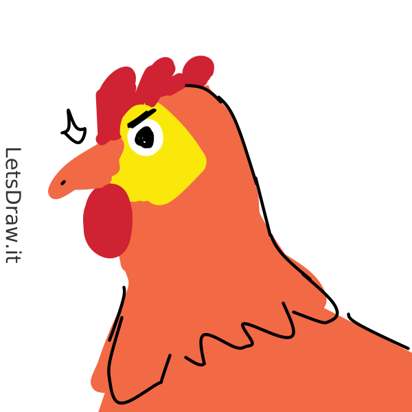 How to draw chicken / hqzkt8uf.png / LetsDrawIt