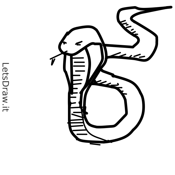 Snake Drawing Invisible How to draw snake / i34wtny7.png / LetsDrawIt