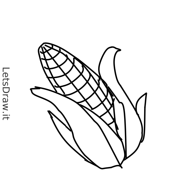 How to draw maize / ikp9byjri.png / LetsDrawIt