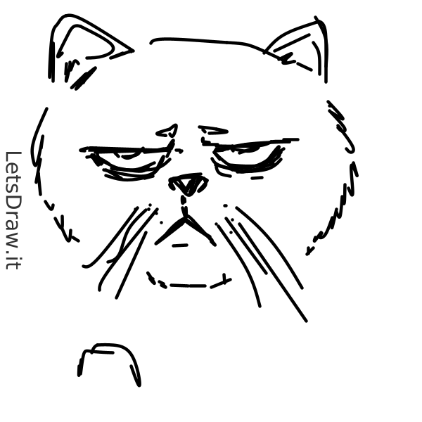 How to draw grumpy cat / im85mmnut.png / LetsDrawIt