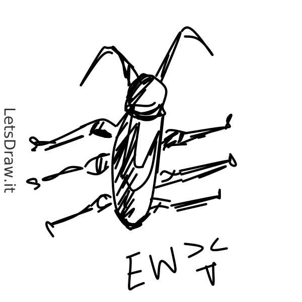 How to draw cockroach / imxhp16pa.png / LetsDrawIt