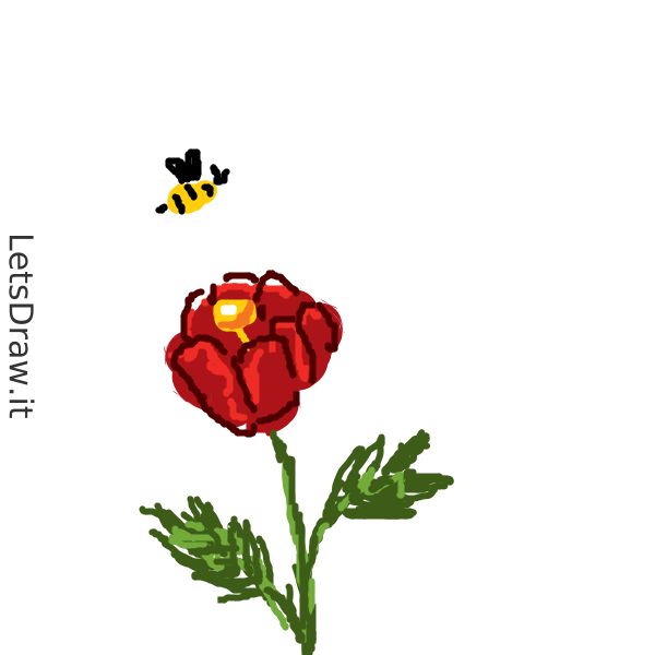 Drawf Poppy How to draw poppy / ipzho17wf.png / LetsDrawIt