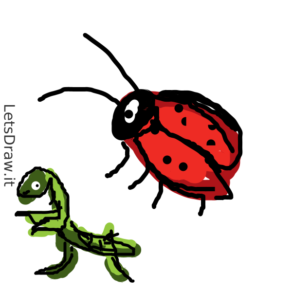 How to draw Bugs / iudwt8wuz.png / LetsDrawIt