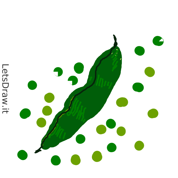 How to draw green beans / iynbckxnh.png / LetsDrawIt