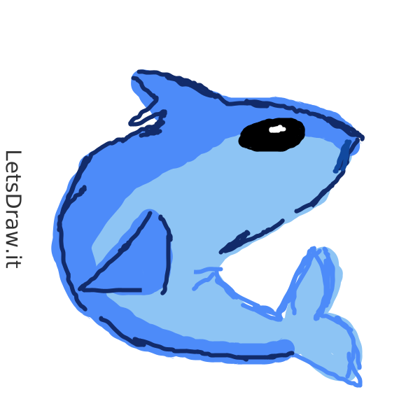 How to draw shark / j9um1x8ax.png / LetsDrawIt