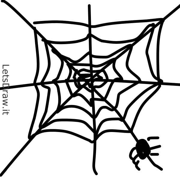 How to draw spiderweb / jghhjbfk7.png / LetsDrawIt