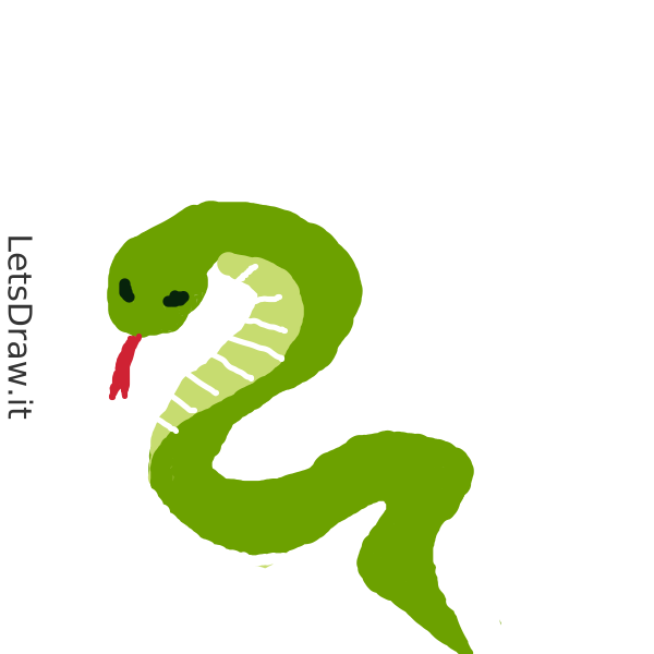 Snake Drawing Invisible How to draw snake / jmcbc18ia.png / LetsDrawIt
