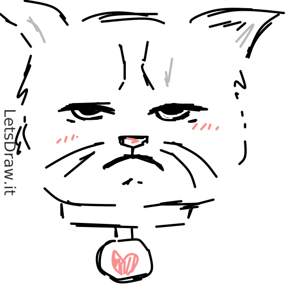 How To Draw Grumpy Cat Js74kptz4png Letsdrawit 