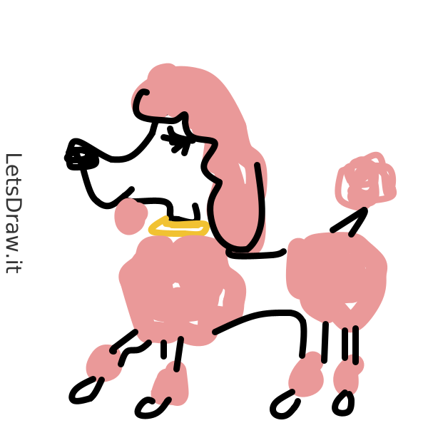 How to draw poodle / jw5t8h6kg.png / LetsDrawIt