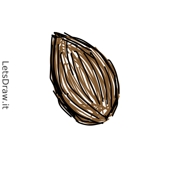 How to draw Almond / LetsDrawIt