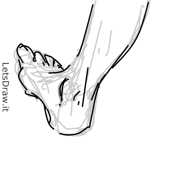 How to draw ankle / k193c1pfq.png / LetsDrawIt
