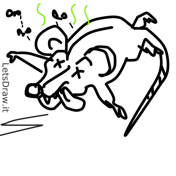 How to draw dead rat / k1ydka5gi.png / LetsDrawIt