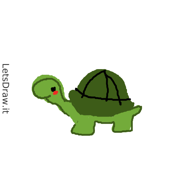 How to draw turtles / k3kmqahoa.png / LetsDrawIt