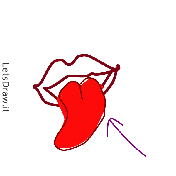 How to draw Tongue / kbg9m69qn.png / LetsDrawIt