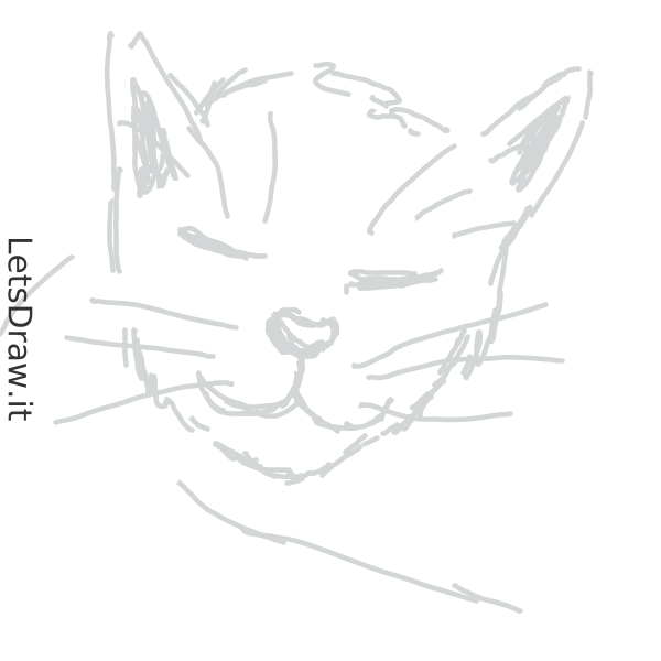 How to draw cats / m3e7qhmup.png / LetsDrawIt