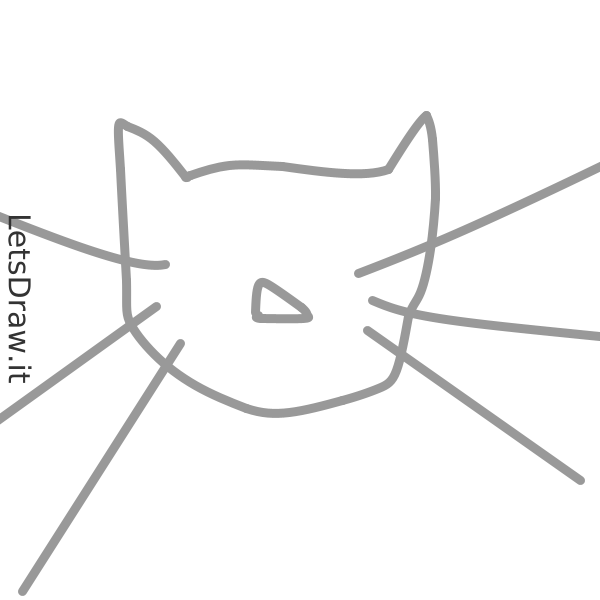 How To Draw Cat Whiskers M896mnbnrpng Letsdrawit 