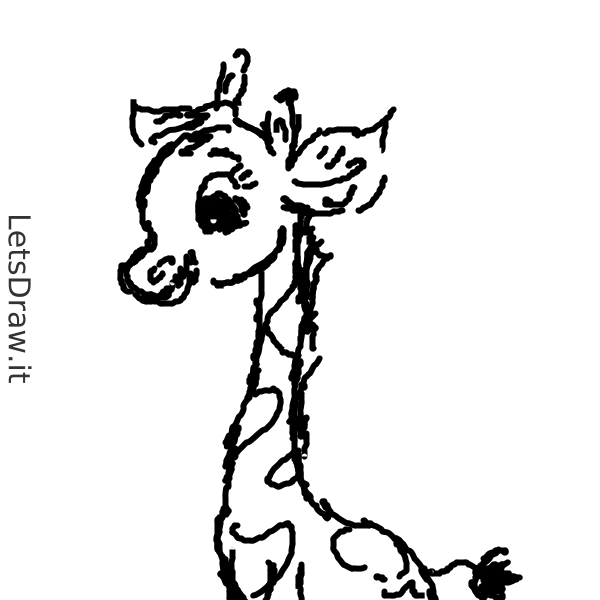 How to draw giraffe / mfxetdiii.png / LetsDrawIt