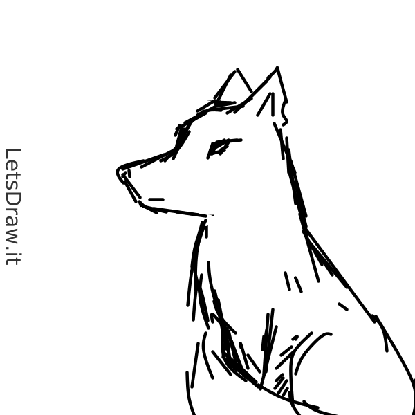 How to draw wolf / mh9di6xz.png / LetsDrawIt