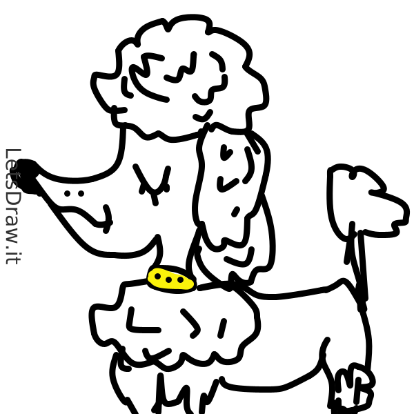 How to draw poodle / mo3ukd8fw.png / LetsDrawIt