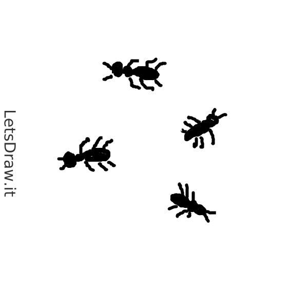 How to draw ants / mobcqpy71.png / LetsDrawIt