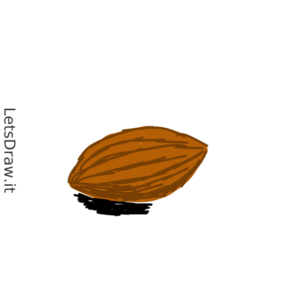 How to draw Almond / LetsDrawIt