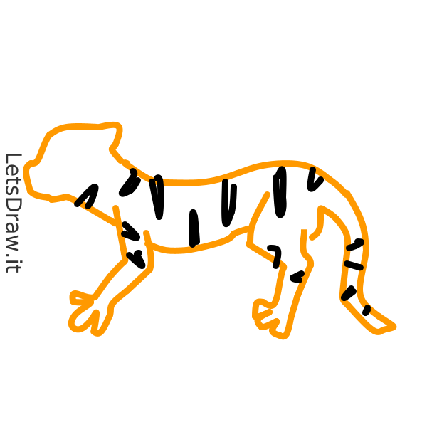 how-to-draw-tiger-nj7mesg4j-png-letsdrawit