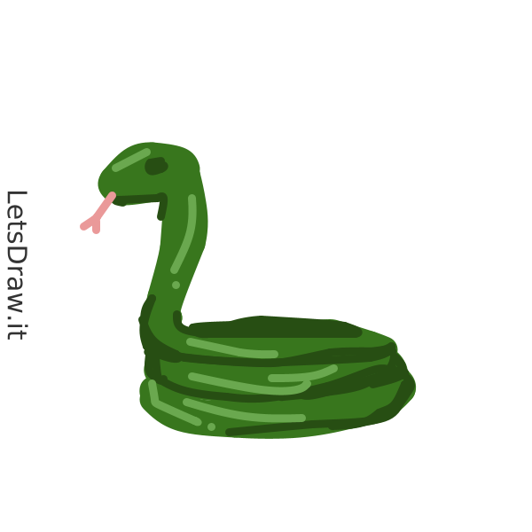 How to draw grass snake / o5e6g4w13.png / LetsDrawIt