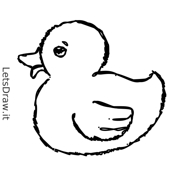 How to draw duck / o97kmw3ep.png / LetsDrawIt