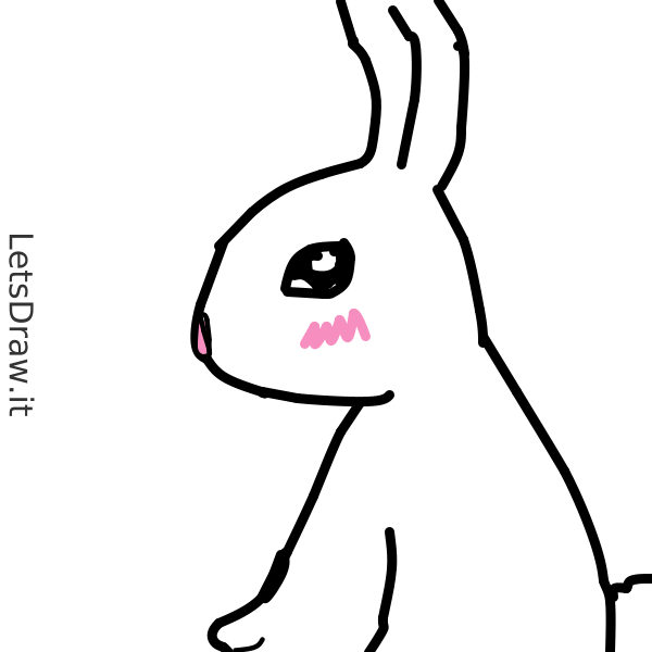 How to draw bunny / oebzcr5wt.png / LetsDrawIt