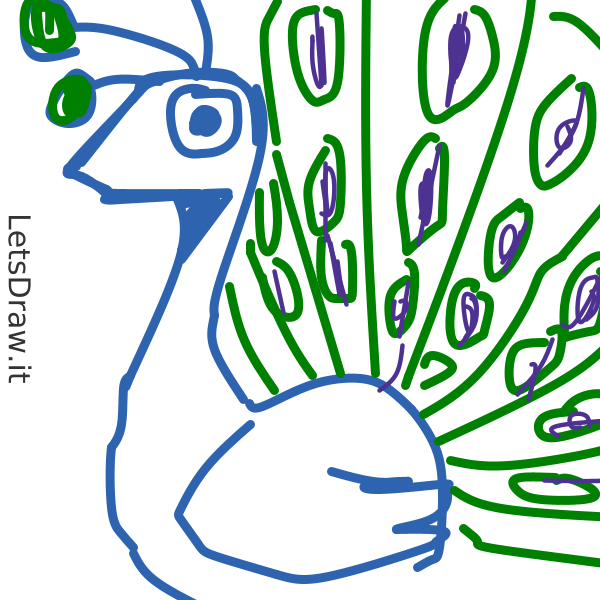 How to draw a Peacock | Peacock Easy Draw Tutorial - YouTube